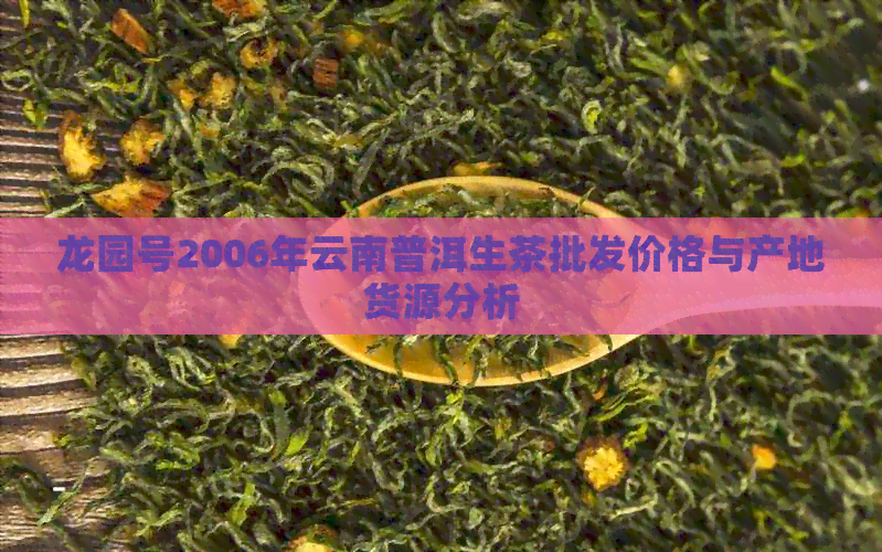 龙园号2006年云南普洱生茶批发价格与产地货源分析