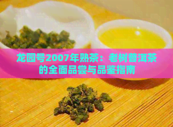 龙园号2007年熟茶：老树普洱茶的全面品尝与品鉴指南