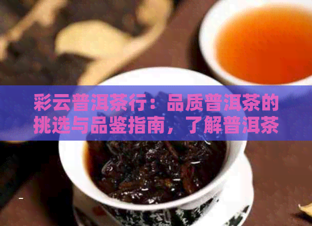 彩云普洱茶行：品质普洱茶的挑选与品鉴指南，了解普洱茶文化与泡法