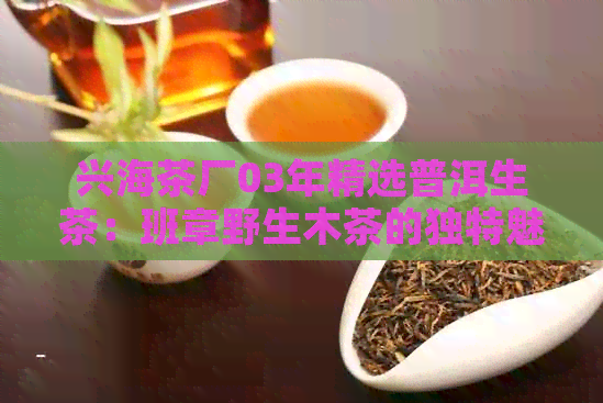 兴海茶厂03年精选普洱生茶：班章野生木茶的独特魅力