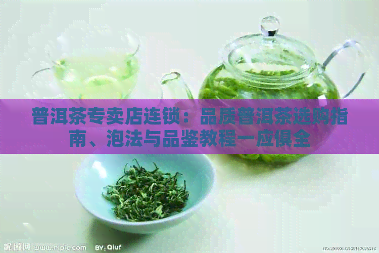 普洱茶专卖店连锁：品质普洱茶选购指南、泡法与品鉴教程一应俱全