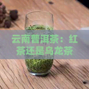 云南普洱茶：红茶还是乌龙茶，哪个更胜一筹？