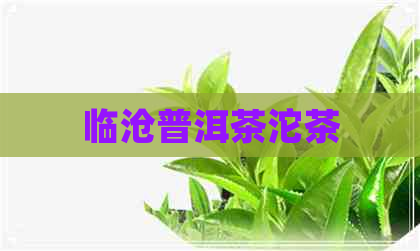 临沧普洱茶沱茶