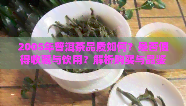 2005年普洱茶品质如何？是否值得收藏与饮用？解析购买与品鉴技巧