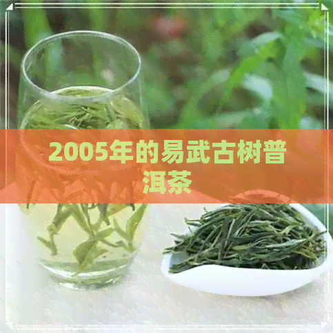 2005年的易武古树普洱茶