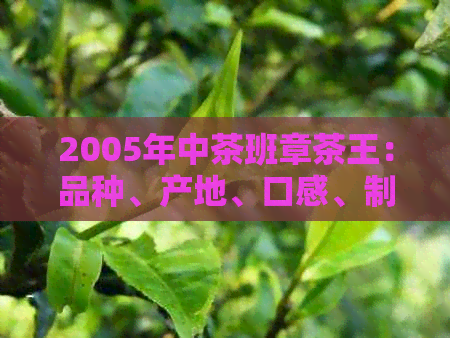 2005年中茶班章茶王：品种、产地、口感、制作工艺及品鉴方法的全面解析