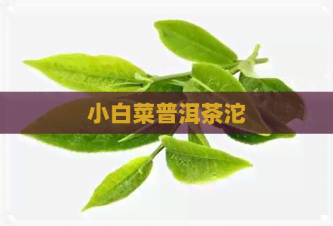 小白菜普洱茶沱