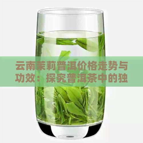 云南茉莉普洱价格走势与功效：探究普洱茶中的独特魅力