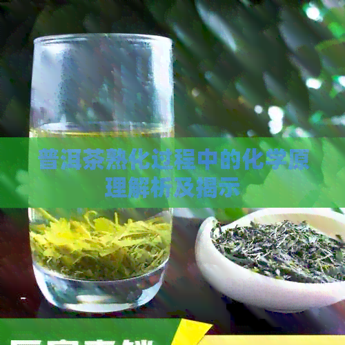 普洱茶熟化过程中的化学原理解析及揭示