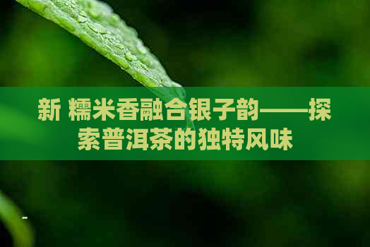 新 糯米香融合银子韵——探索普洱茶的独特风味