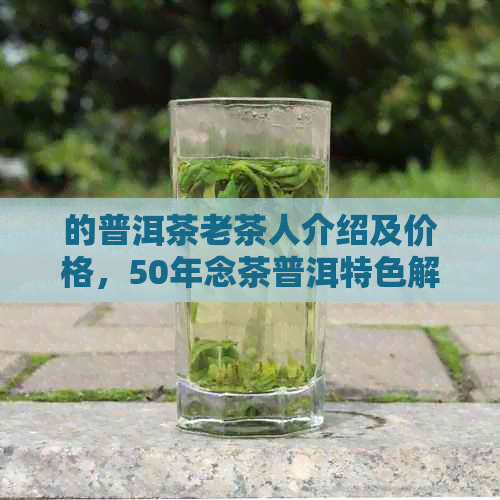 的普洱茶老茶人介绍及价格，50年念茶普洱特色解析