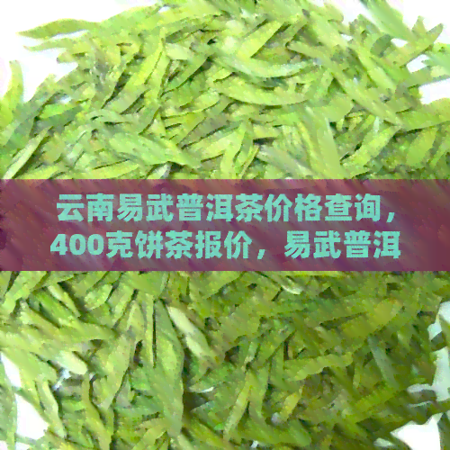 云南易武普洱茶价格查询，400克饼茶报价，易武普洱茶品种价格一览表