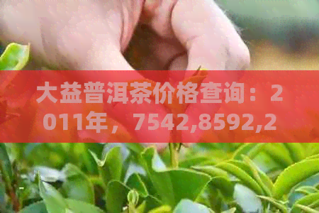 大益普洱茶价格查询：2011年，7542,8592,2008年