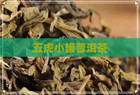 五虎小罐普洱茶