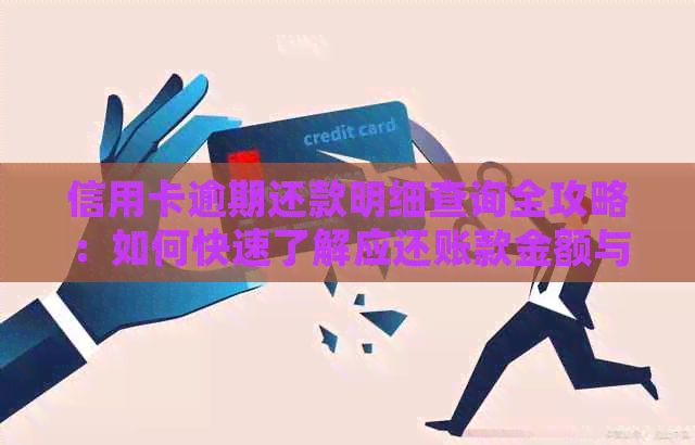 信用卡逾期还款明细查询全攻略：如何快速了解应还账款金额与记录