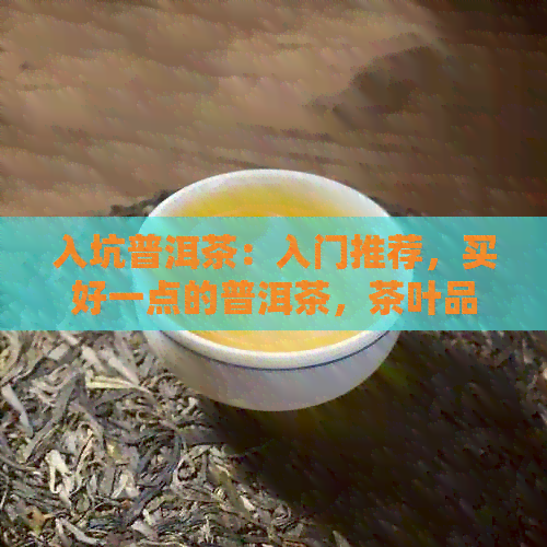 入坑普洱茶：入门推荐，买好一点的普洱茶，茶叶品质如何？价格多少？