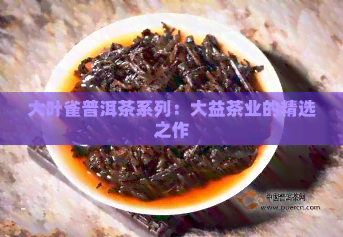 大叶雀普洱茶系列：大益茶业的精选之作