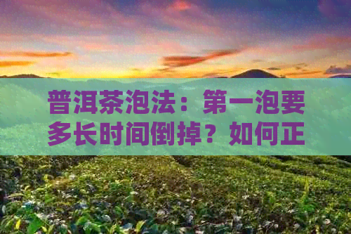 普洱茶泡法：之一泡要多长时间倒掉？如何正确泡制普洱茶？