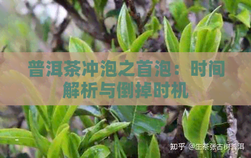 普洱茶冲泡之首泡：时间解析与倒掉时机