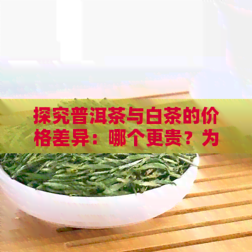 探究普洱茶与白茶的价格差异：哪个更贵？为什么？