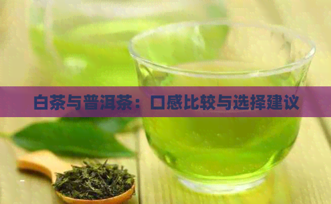 白茶与普洱茶：口感比较与选择建议