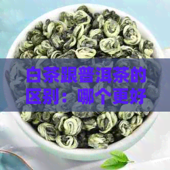 白茶跟普洱茶的区别：哪个更好？