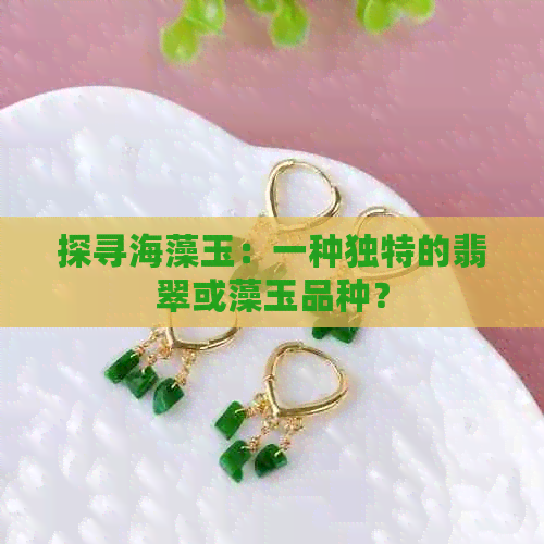 探寻海藻玉：一种独特的翡翠或藻玉品种？