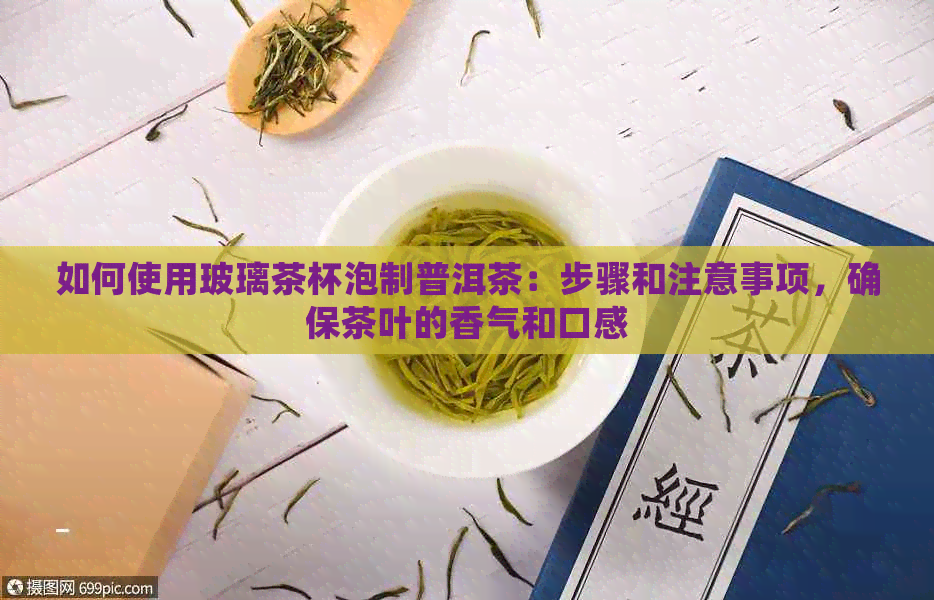 如何使用玻璃茶杯泡制普洱茶：步骤和注意事项，确保茶叶的香气和口感