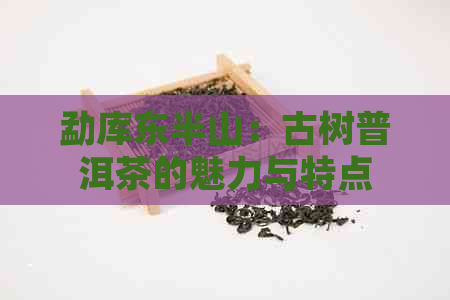 勐库东半山：古树普洱茶的魅力与特点