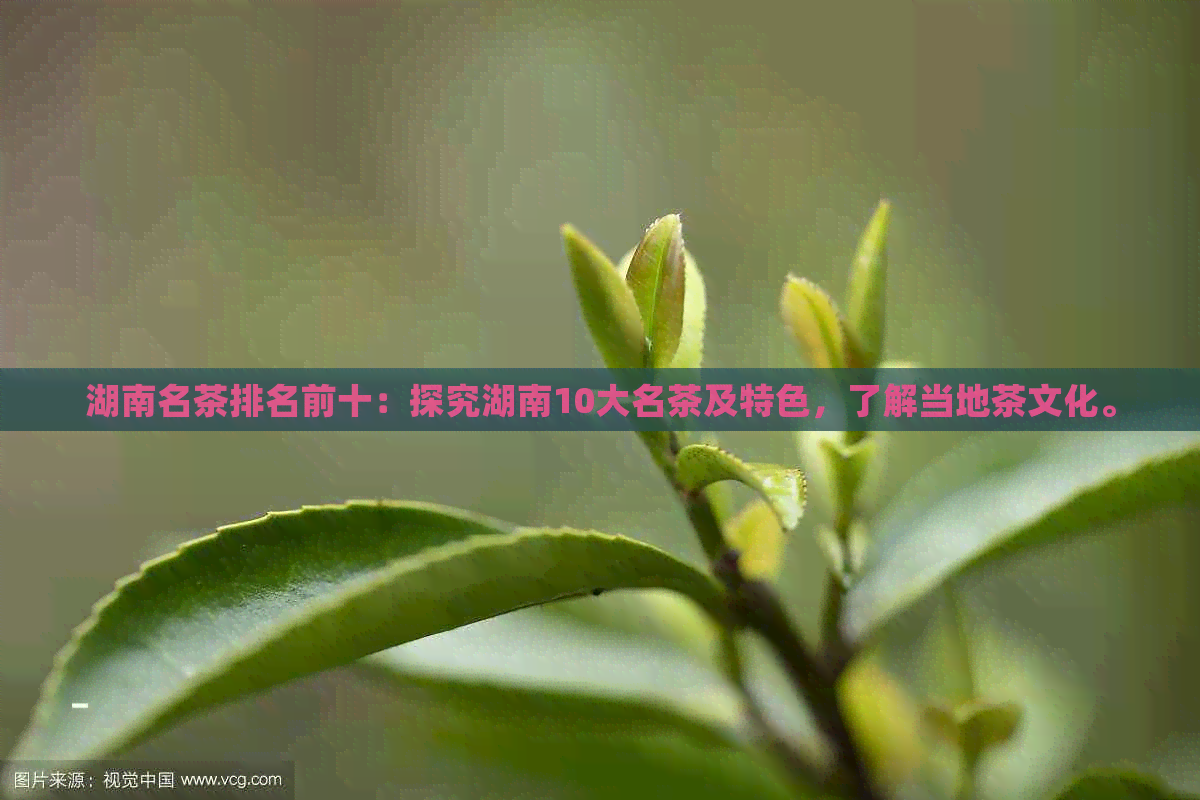 湖南名茶排名前十：探究湖南10大名茶及特色，了解当地茶文化。