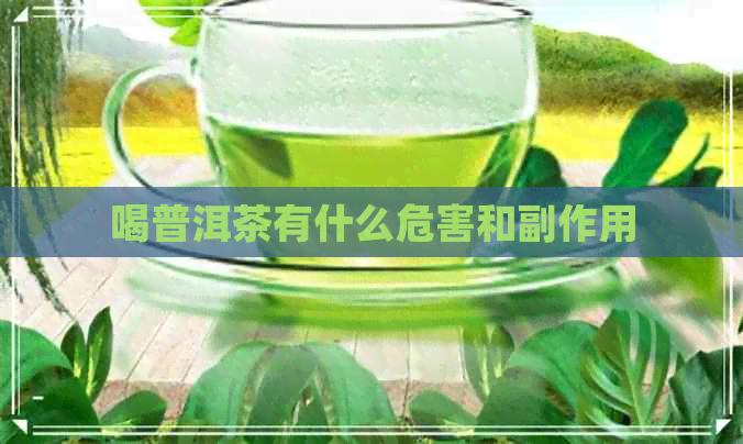 喝普洱茶有什么危害和副作用