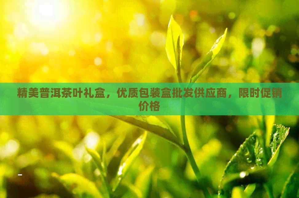 精美普洱茶叶礼盒，优质包装盒批发供应商，限时促销价格