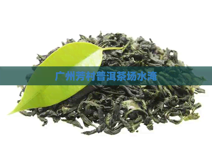 广州芳村普洱茶场水淹