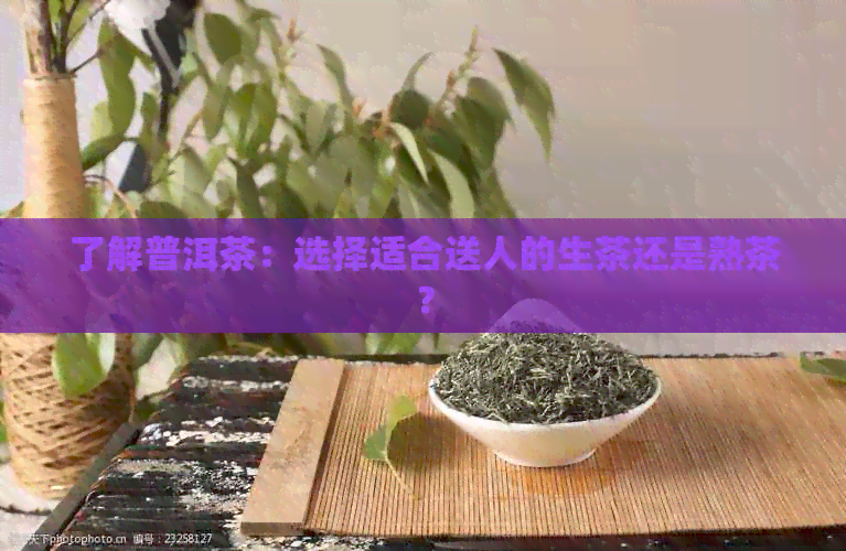 了解普洱茶：选择适合送人的生茶还是熟茶？