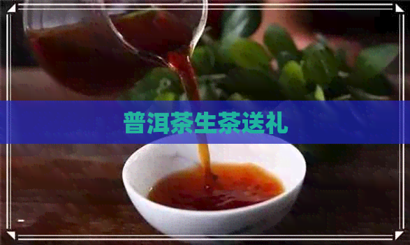 普洱茶生茶送礼