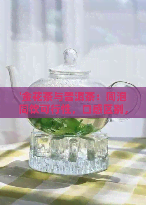 '金花茶与普洱茶：同泡同饮可行性，口感区别，特色对比及综合评价'