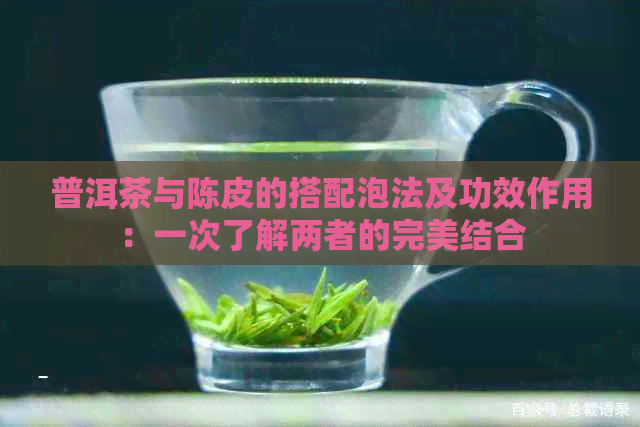 普洱茶与陈皮的搭配泡法及功效作用：一次了解两者的完美结合