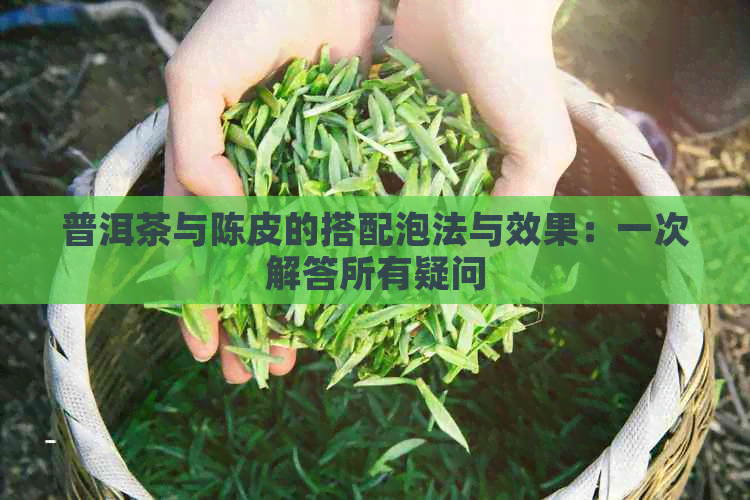 普洱茶与陈皮的搭配泡法与效果：一次解答所有疑问