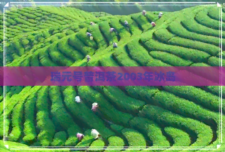 瑞元号普洱茶2003年冰岛