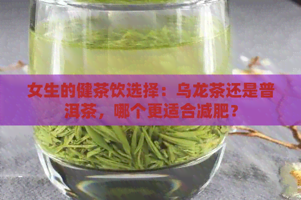 女生的健茶饮选择：乌龙茶还是普洱茶，哪个更适合减肥？