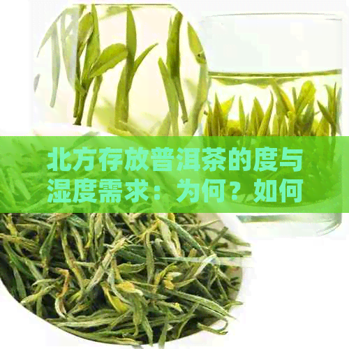 北方存放普洱茶的度与湿度需求：为何？如何调控？