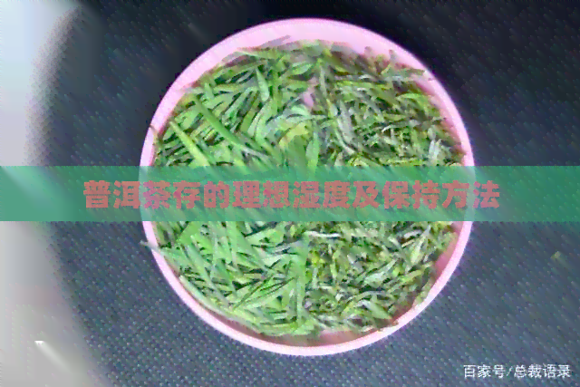 普洱茶存的理想湿度及保持方法