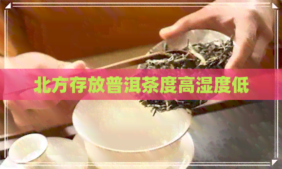 北方存放普洱茶度高湿度低