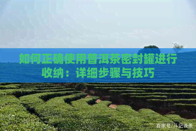 如何正确使用普洱茶密封罐进行收纳：详细步骤与技巧