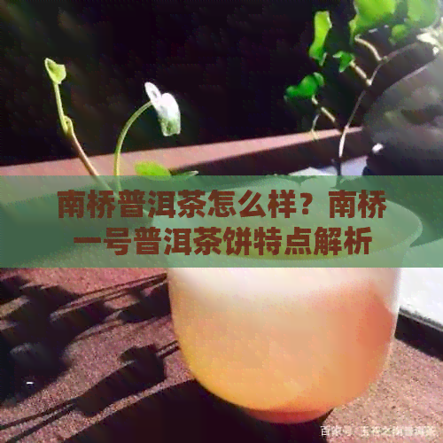 南桥普洱茶怎么样？南桥一号普洱茶饼特点解析