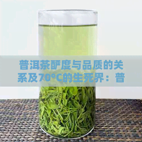 普洱茶酽度与品质的关系及70°C的生死界：普洱茶唛号解读