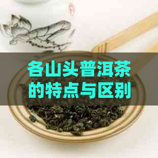 各山头普洱茶的特点与区别：探究各大山头的基本特性和口感