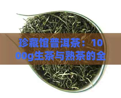 珍藏馆普洱茶：1000g生茶与熟茶的全方位对比与选择