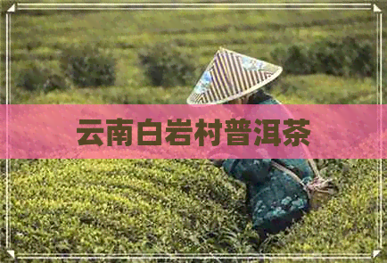 云南白岩村普洱茶