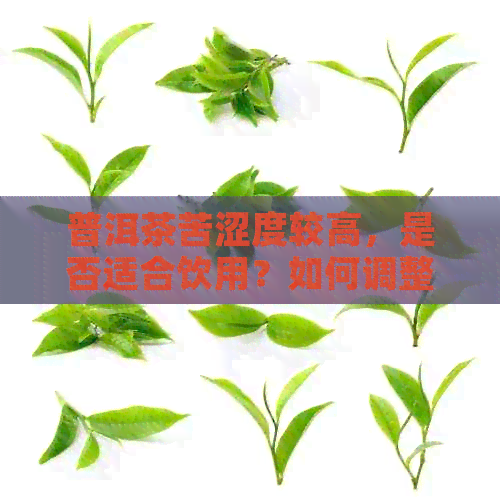 普洱茶苦涩度较高，是否适合饮用？如何调整口感？